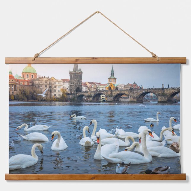 Tapisserie Suspendue Beaux cygnes blancs sur la rivière Vitava à Prague (Devant)