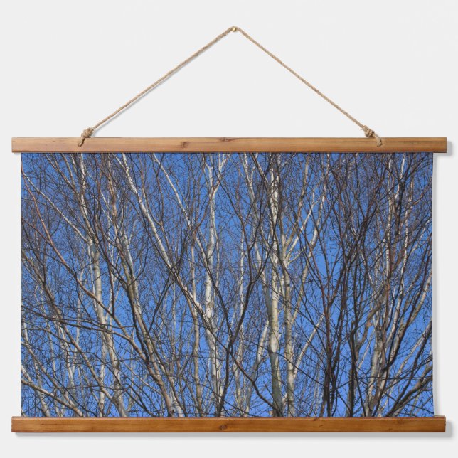 Tapisserie Suspendue Branches de bouleau d'argent 02 (Devant)
