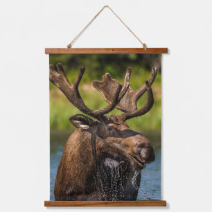 Tapisserie Suspendue Bull Moose   Parc national du Glacier Montana