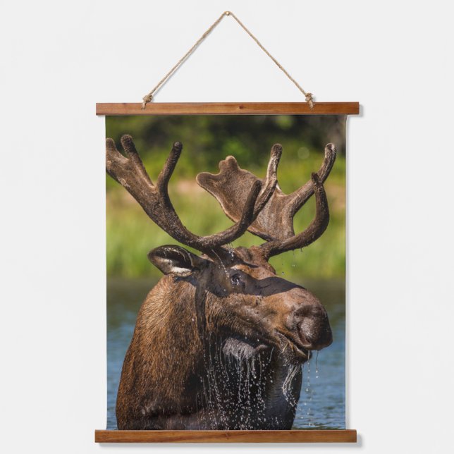 Tapisserie Suspendue Bull Moose | Parc national du Glacier Montana (Recto)
