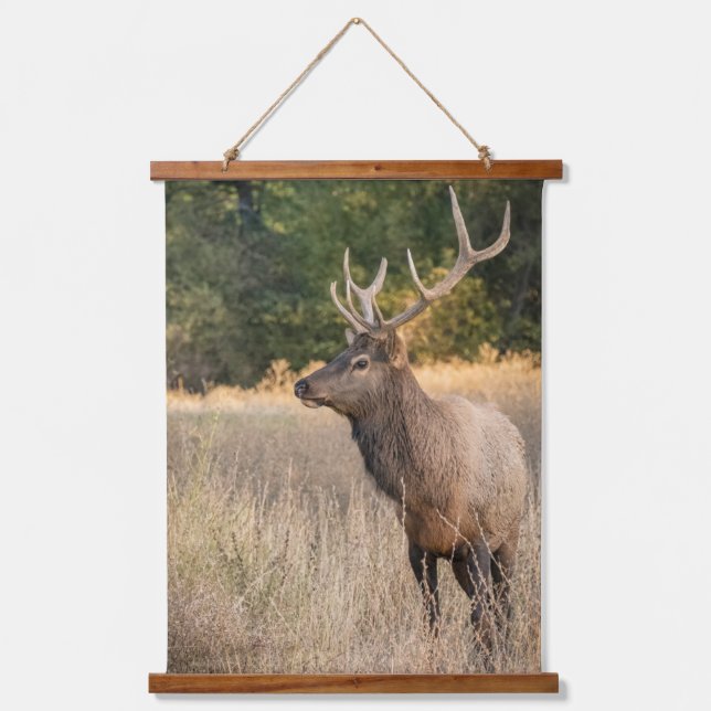 Tapisserie Suspendue Bull Roosevelt Elk dans l'herbe | État de Washingt (Recto)