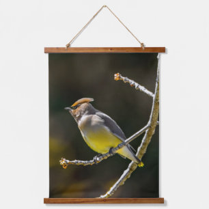Tapisserie Suspendue Cèdre cire Songbird Photo originale Oiseau sauvage