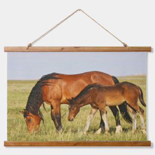 Tapisserie Suspendue Cheval sauvage Mère et Colt pâturage