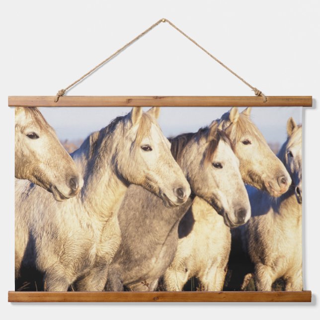 Tapisserie Suspendue Chevaux de Camargue (Eguus caballus) (Devant)