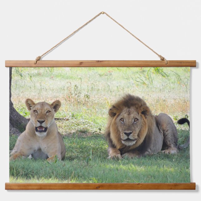 Tapisserie Suspendue Couple de Lion sauvage dans la jungle (Devant)