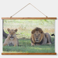 Couple de lions sauvages dans la jungle