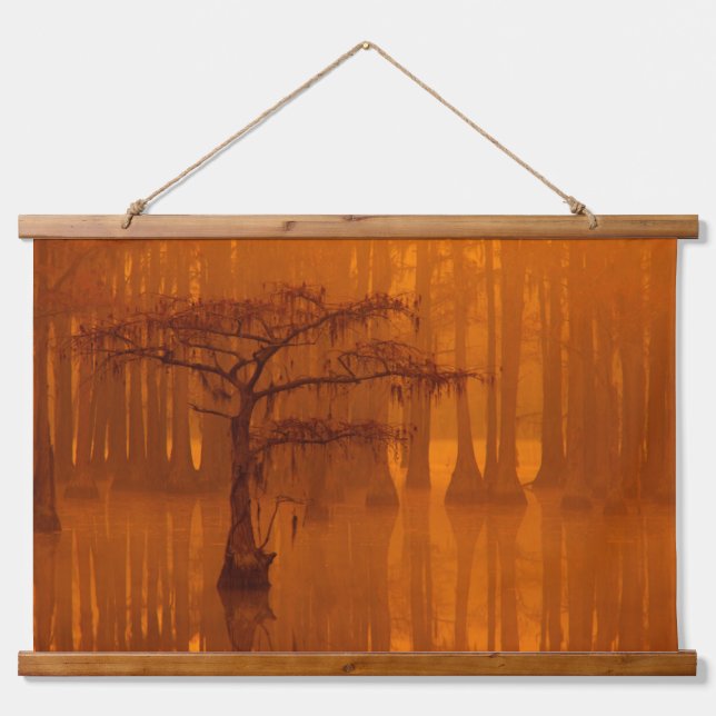 Tapisserie Suspendue Cypress Trees | Parc d'état George Smith (Devant)