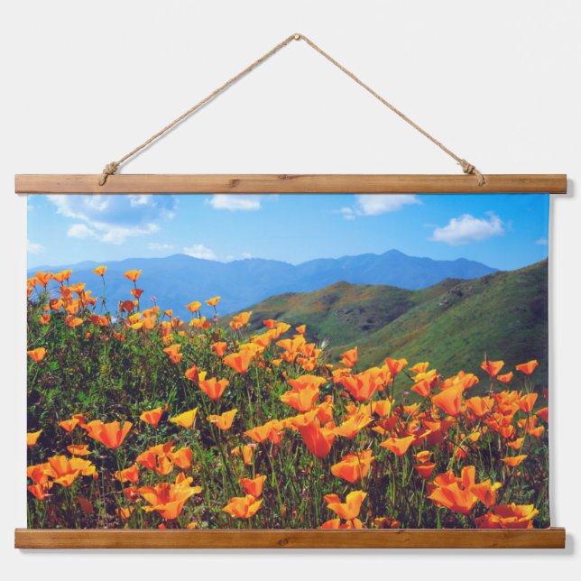 Tapisserie Suspendue Des pavots de Californie recouvrent une colline (Devant)