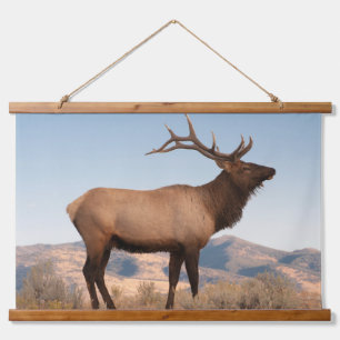 Tapisserie Suspendue Élan mâle près de Mammoth   Wyoming