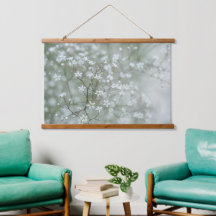 Fleurs de Gypsophile en Gros Plan Photographie de