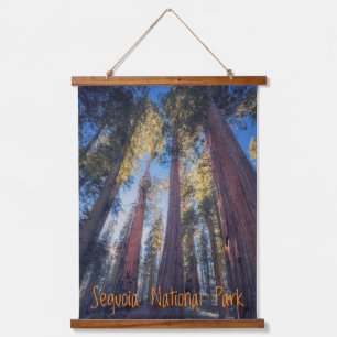 Tapisserie Suspendue Forêt du parc national de Sequoia