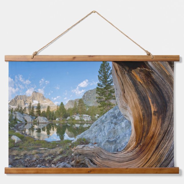 Tapisserie Suspendue Forêt nationale d'Inyo, Californie (Devant)