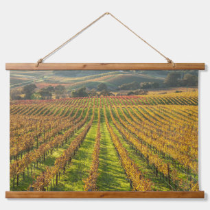 Tapisserie Suspendue Grapevines en Californie Pays Vins