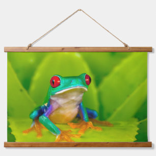 Tapisserie Suspendue Grenouille aux yeux rouges, Costa Rica