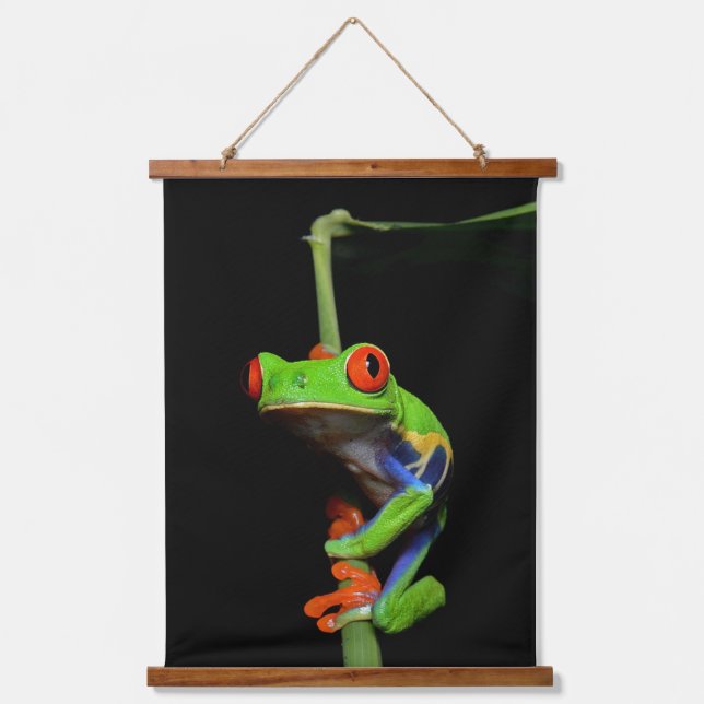 Tapisserie Suspendue Grenouille peinte aux yeux rouges (Recto)