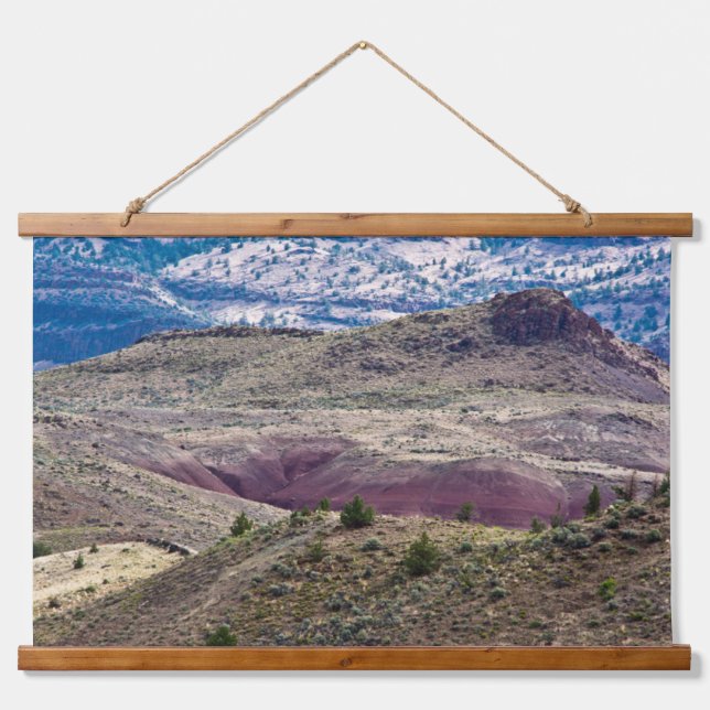 Tapisserie Suspendue John Day Fossil Beds National Monument, Oregon (Devant)