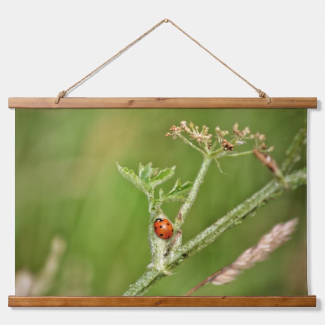 Tapisserie Suspendue Ladybug sur un plante vert (Devant)