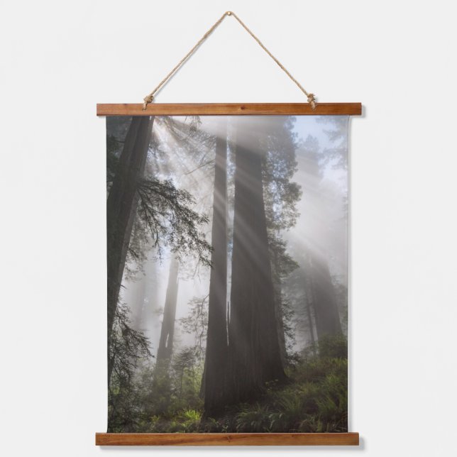 Tapisserie Suspendue Le parc national de Redwood Californie (Recto)