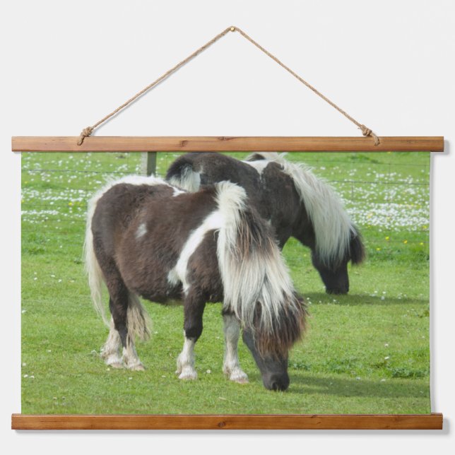 Tapisserie Suspendue Paint Ponts Purebred Shetland (Devant)