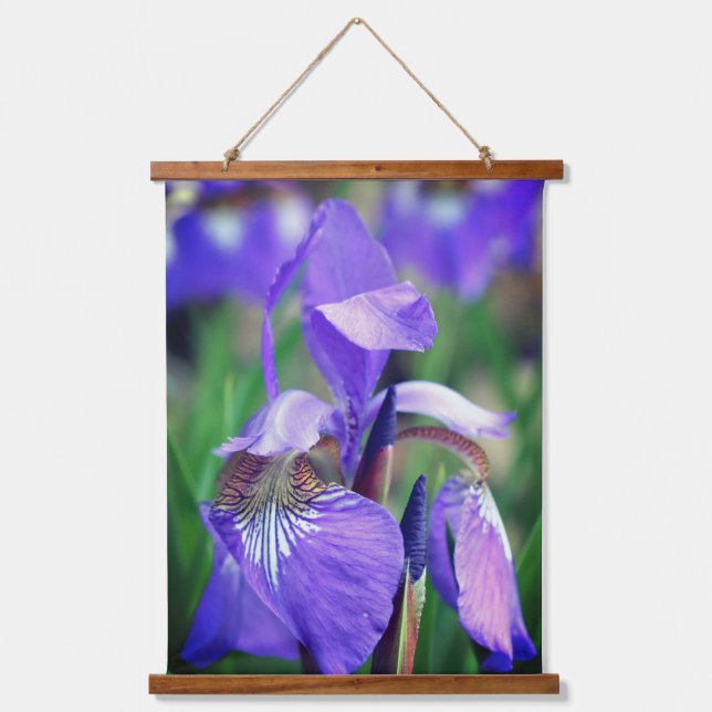 Tapisserie Suspendue Pale Purple Blue Flag Iris Flower  (Recto)