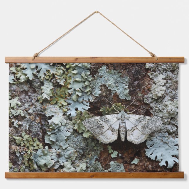 Tapisserie Suspendue Papier peint de forêt de lichen avec papillon camo (Devant)