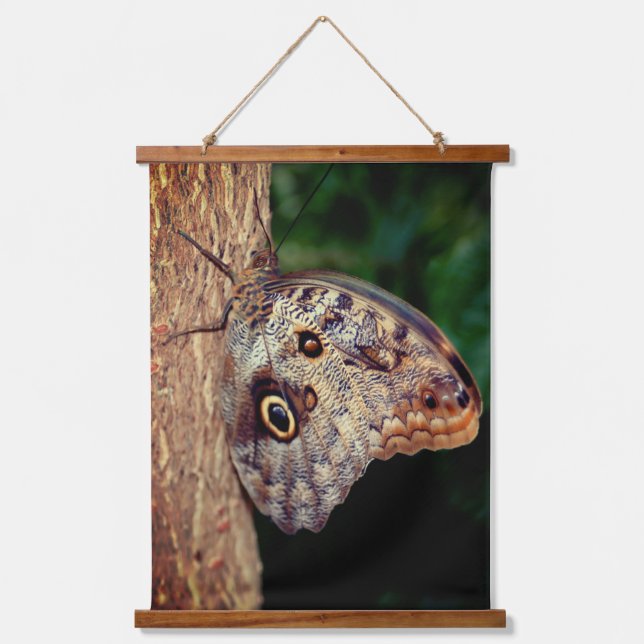Tapisserie Suspendue Papillon de hibou Brown (Recto)