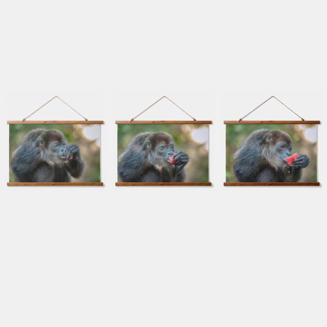Tapisserie Suspendue Pastèque Monkey Munching (Tripler)