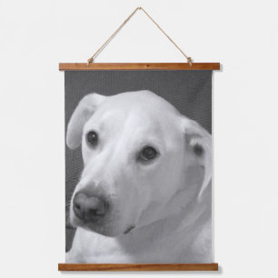 Tapisserie Suspendue Photo en noir et blanc d'un beau chien à l'âne