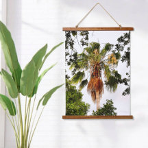 Photographie botanique de palmiers tropicaux