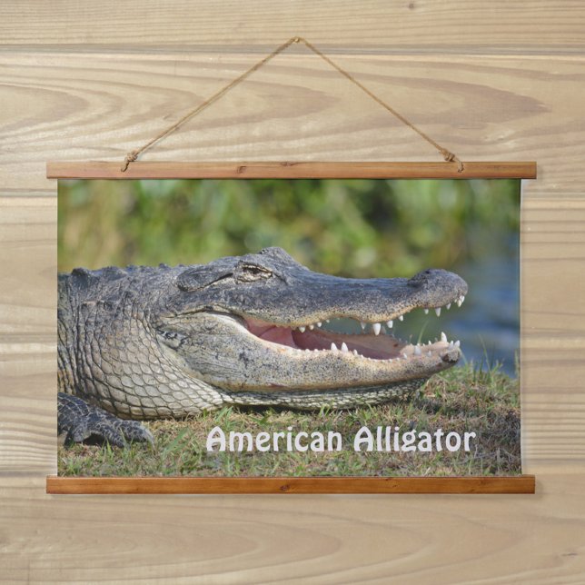 Tapisserie Suspendue Photographie de la faune de l'alligator américain (Créateur téléchargé)