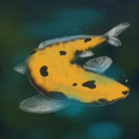 poisson-koi doré G