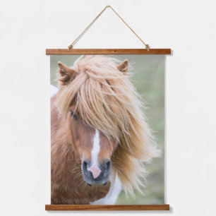 Tapisserie Suspendue Pony Shetland sur l'île d'Unst