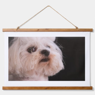Tapisserie Suspendue Portrait de chien blanc duveteux mignon   Lo adora