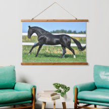 Stallion de thé Akhal noir galopant paddock clôtur