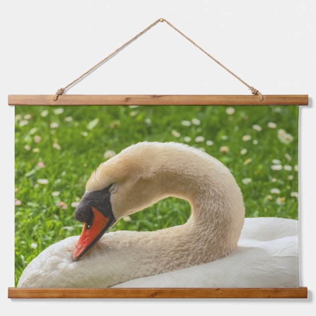 Tapisserie Suspendue Swan dormant (Devant)