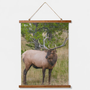 Tapisserie Suspendue Village Elk Lake Parc national de Yellowstone Wyom