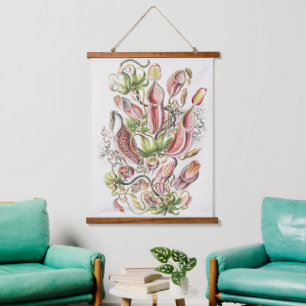 Tapisserie Suspendue Vintage Ernst Haeckel Plante carnivore Nepenthes