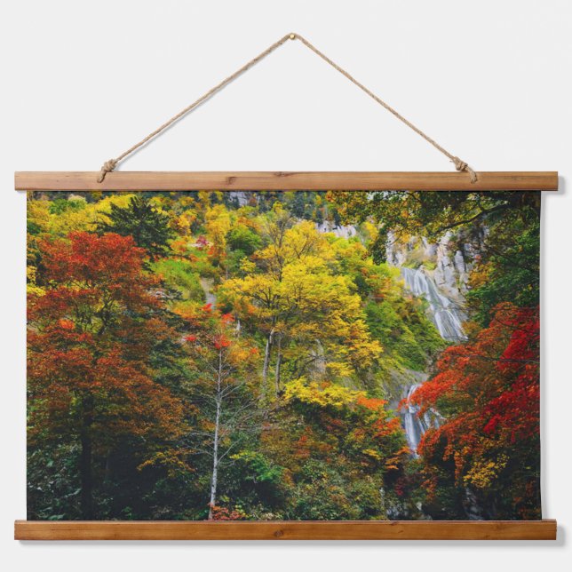 Tapisserie Suspendue Vue pittoresque de l'automne Hagoromo Falls Hokkai (Devant)