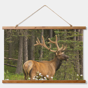 Tapisserie Suspendue Wapiti mâle en velours, Canada