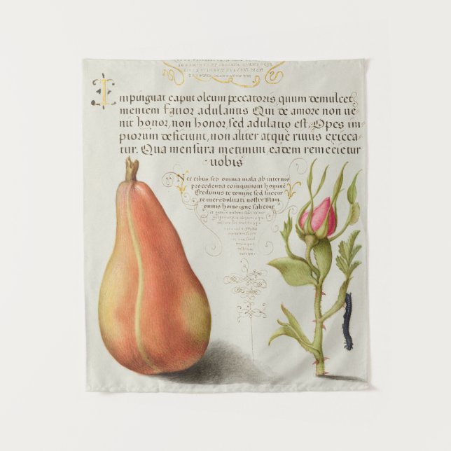 Tapisserie vintage (Devant)