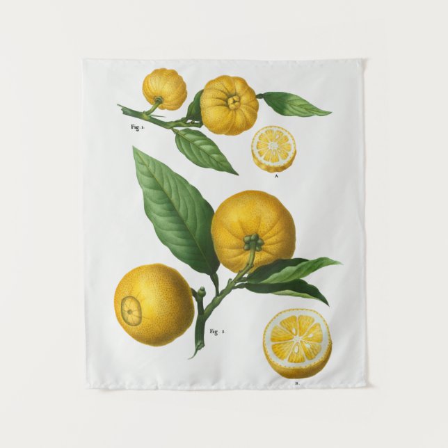 Tapisserie vintage (Devant)