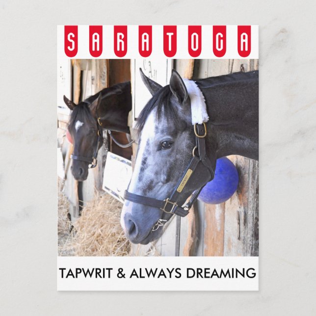 Tapwrit & Always Dreaming Postcard (Front)