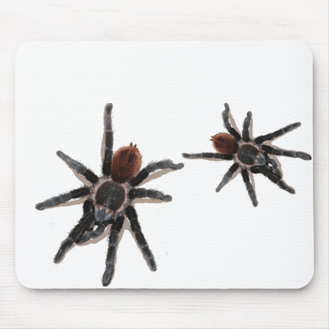 Taranchula spider live pet mouse pad (Front)