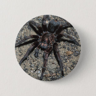 Tarantula 2 Inch Round Button