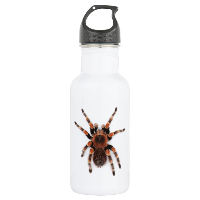 Tarantula 532 Ml Water Bottle (Front)