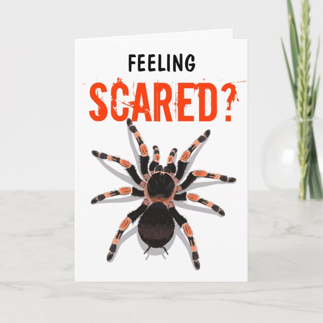 Tarantula Birthday Card (Front)