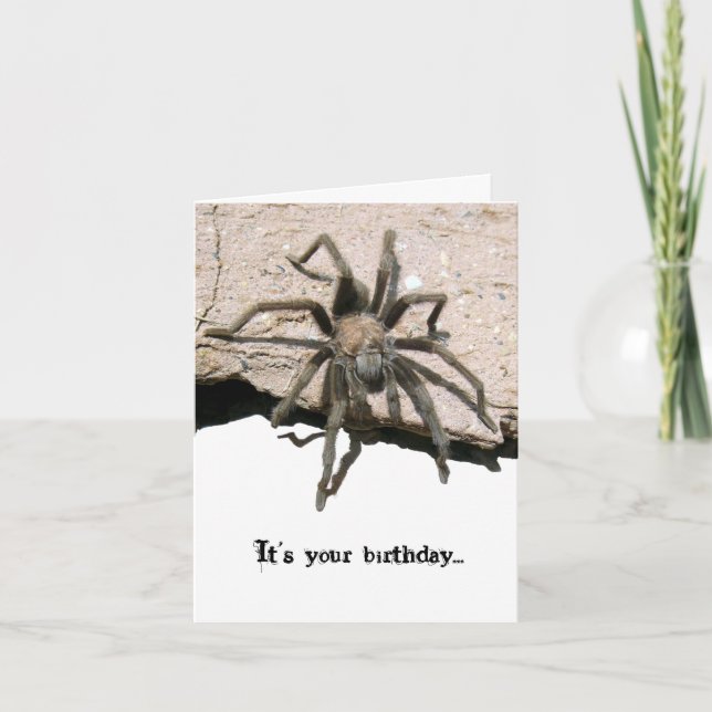 Tarantula Birthday Card (Front)