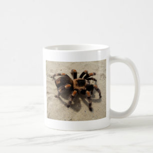Tarantula brachypelma red knee poisonous coffee mug