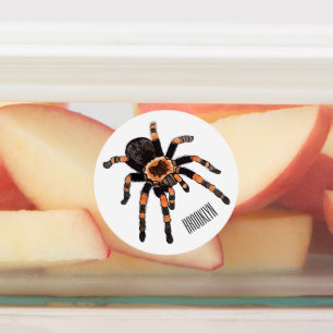 Tarantula cartoon illustration
