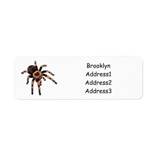 Tarantula cartoon illustration (Front)